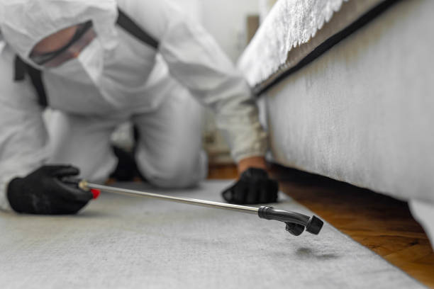 Professional Bed Bug Control technician working in Fairlawn, OH